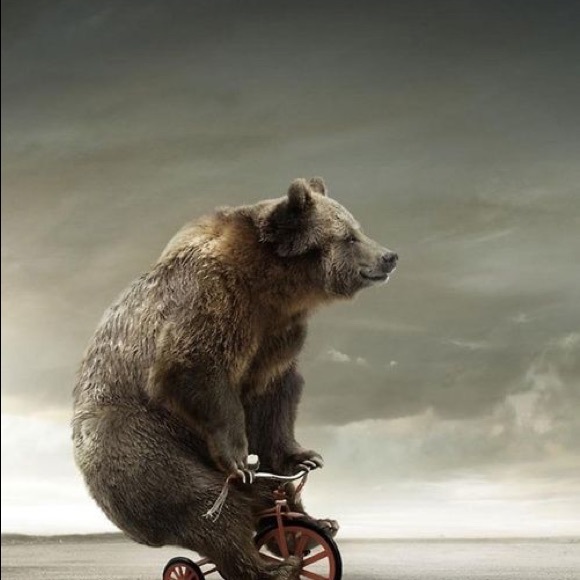 Meet your Posher, Amy - Picture 1 of 1